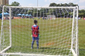 ayx.com-东方足球赛场高潮迭起观众欢呼不止的简单介绍