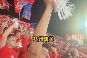 爱游戏-足球边裁旗语1到10图解