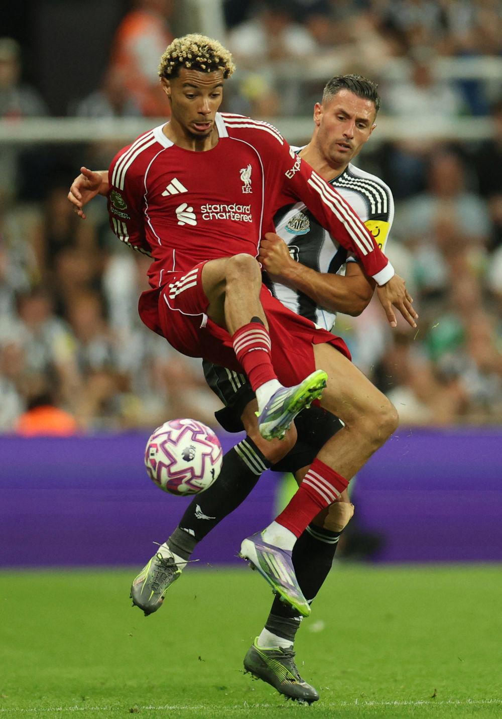 爱游戏-利物浦主场轻松击败对手，保持不败纪录(利物浦58年来首遭联赛主场3连败 成最差卫冕冠军)  第1张